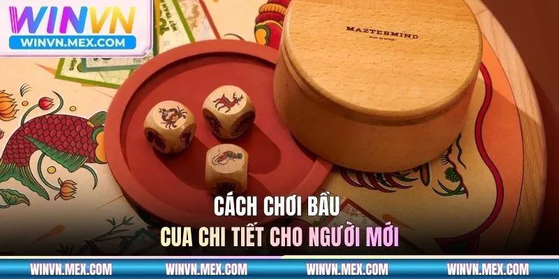 Cách chơi bầu cua chi tiết cho newbie